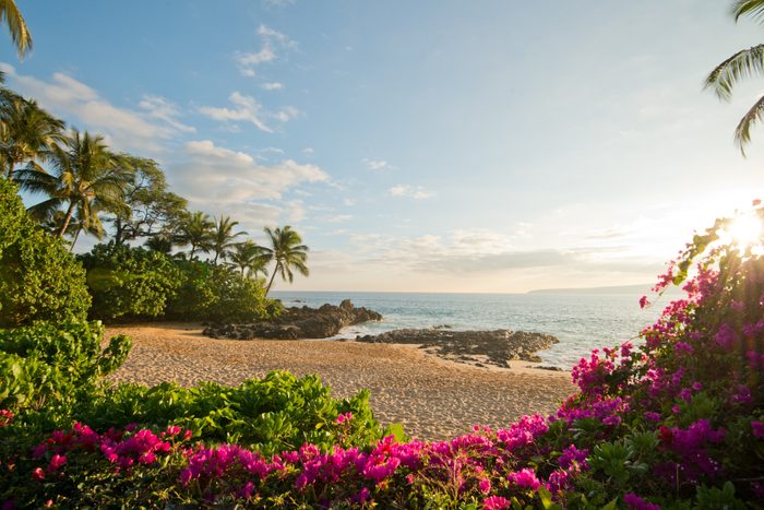 secret beach hawaii
