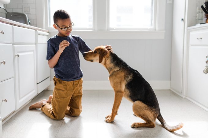African American Boy with Adopted Dog