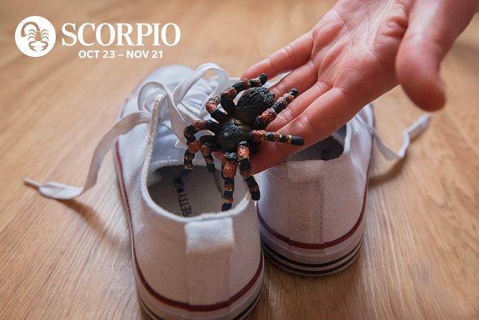 Hand placing a large plastic toy spider into a pair of shoes
