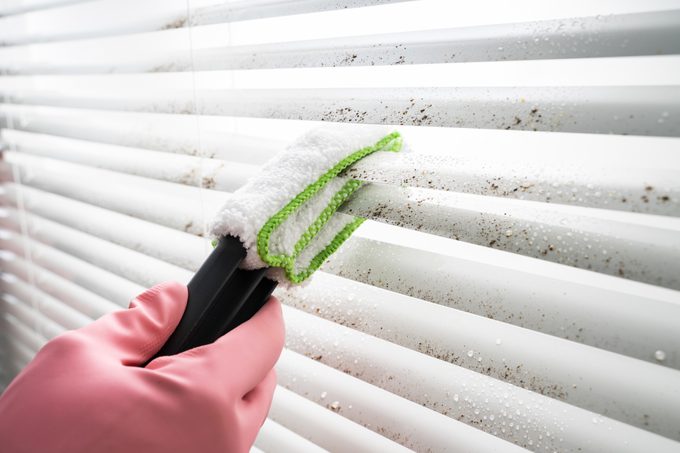 Person Cleaning Window Blinds