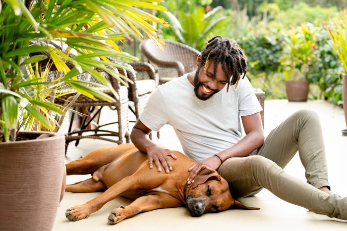 Smiling young man petting his cute pet dog at home