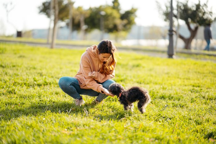 A woman feeding a rescued black Shih Tzu in the park at sunset