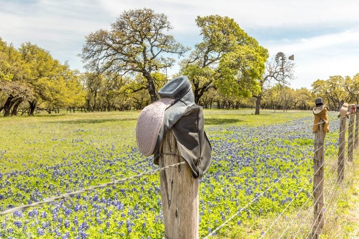 Cowboy Boots On A Fence, Texas Hill Country