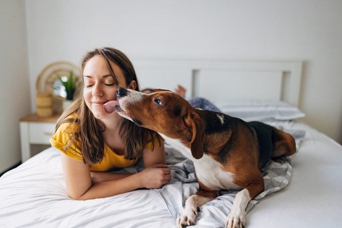 A cuddly hound dog kisses its owner as they lie on the bed in the bedroom