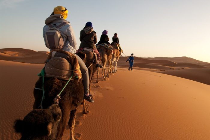 Tourists on train of camels in Sahara led by guide