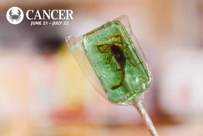 Close-Up Of Scorpion In Green Lollipop
