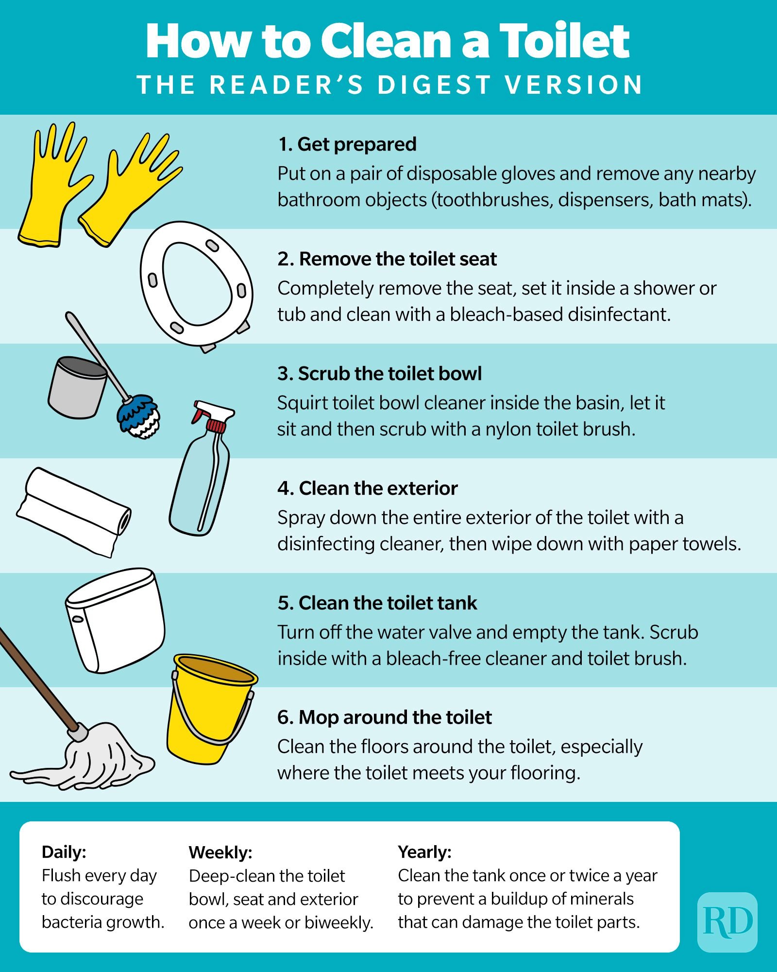 How To Clean A Toilet Infographic