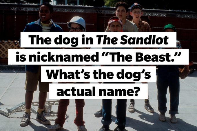 Still from The Sandlot, TEXT: The dog in The Sandlot is nicknamed "The Beast." What's the dog's actual name?