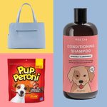 Spoil Fido with Wag-Worthy Deals on National Puppy Day