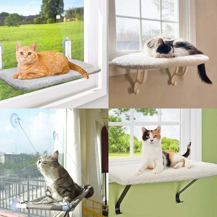 The 6 Best Cat Window Perches To Entertain Your Feline Friend