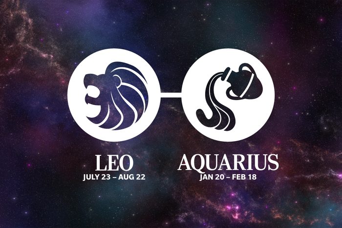 Zodiac Sister Sign Leo Aquarius