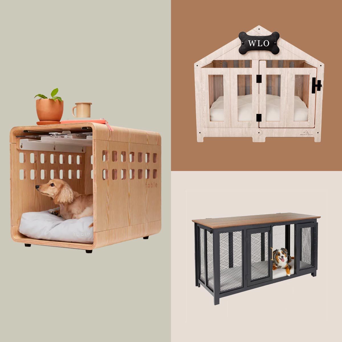 3 Top Trending Stylish Dog Crates and Their Features
