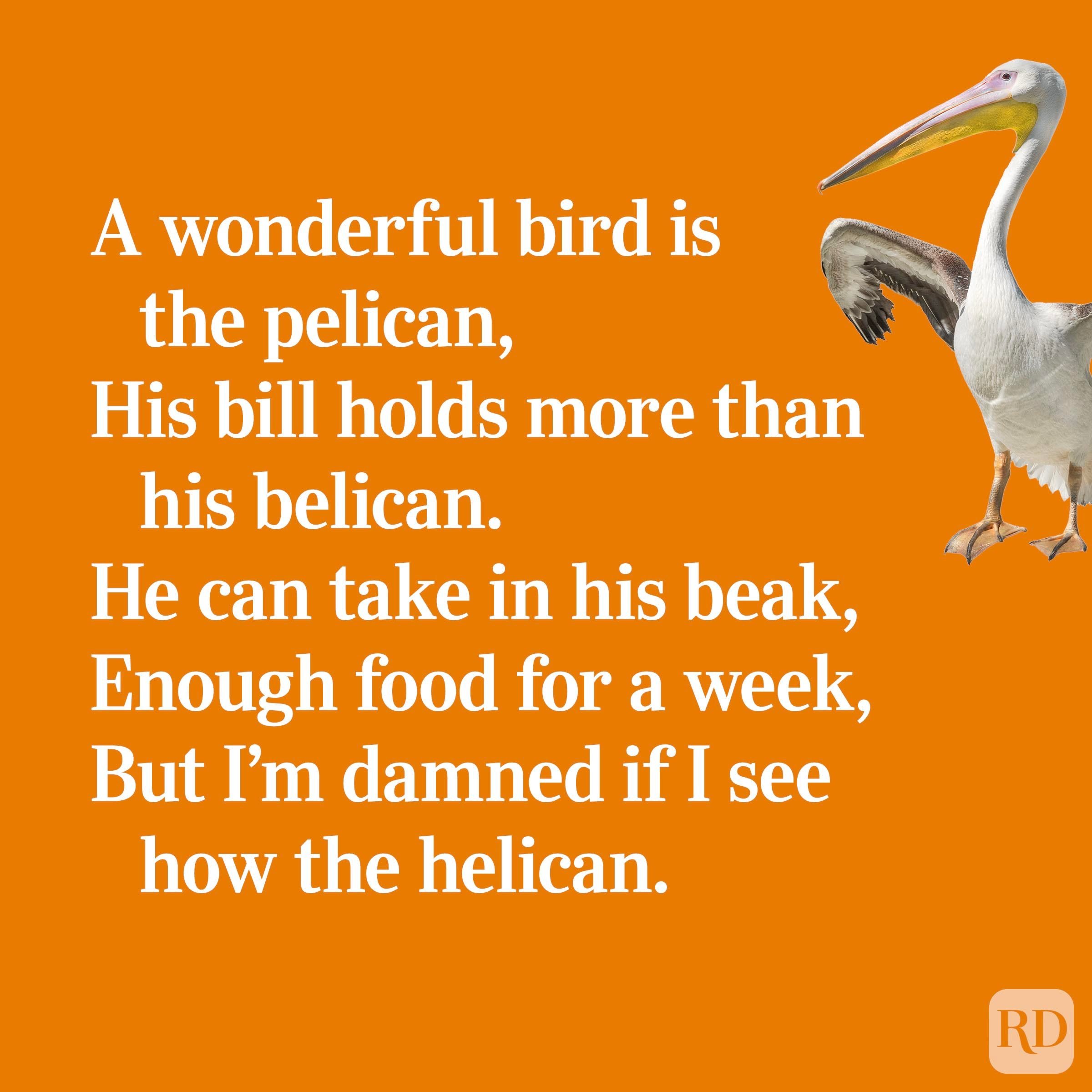 30 Funny Limericks That Only Clever People Will Appreciate