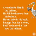 30 Funny Limericks Only Clever People Will Get