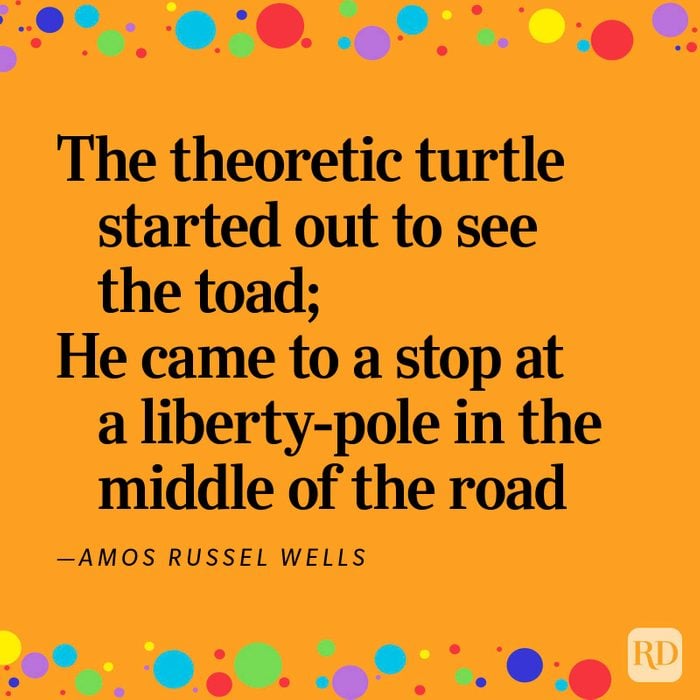 “The Theoretic Turtle” by Amos Russel Wells