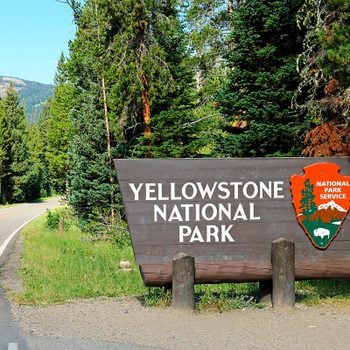 Entrance Sign To Yellowstone National Park along U.S. Highway 212 at the Northeast Entrance