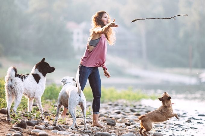 Woman Playing With Dogs At River