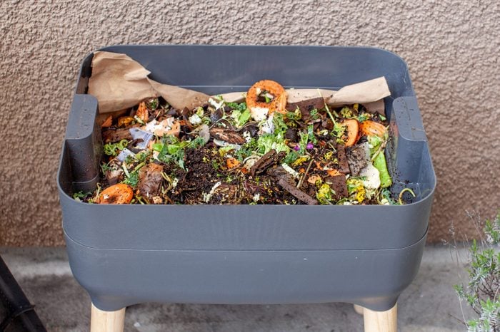 Worms in a feeding tray with fresh food and bedding material in an outdoor vermicomposter.