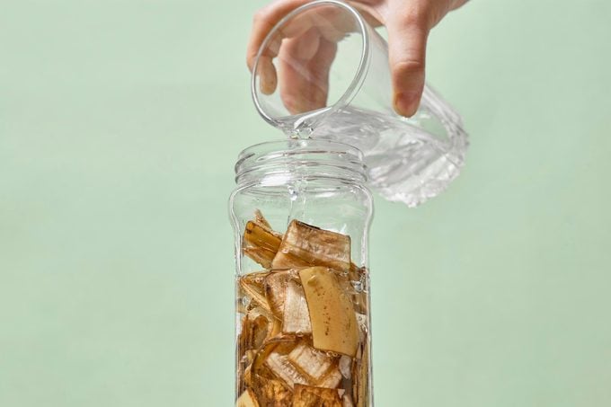 A person making banana peel fertilizer with banana cuts. Putting small pieces of banana skin into the glass jar and pouring water