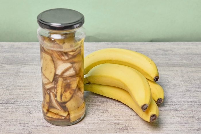 Gettyimages 1353076980A jar filled with banana peel cuts and water. Banana peel for plant fertilization. Eco friendly natural way of fruit waste compost. Banana peel compost