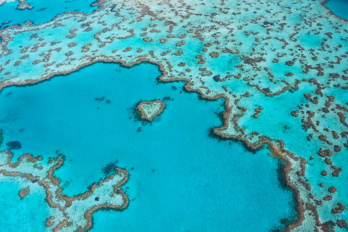 Heart Reef at the Great Barrier Reef, Whitsundays Queensland
