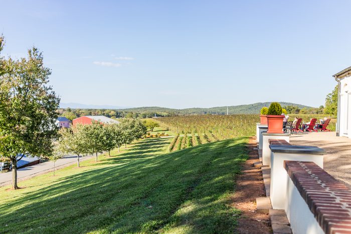 Barboursville Vineyards in Virginia with people relaxing by picturesque view of winery grape rows