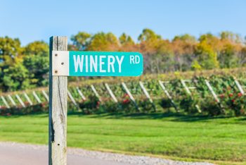 Closeup of green street sign reading Winery Road with winery vineyard rows in the background at Barboursville Vineyards in virginia