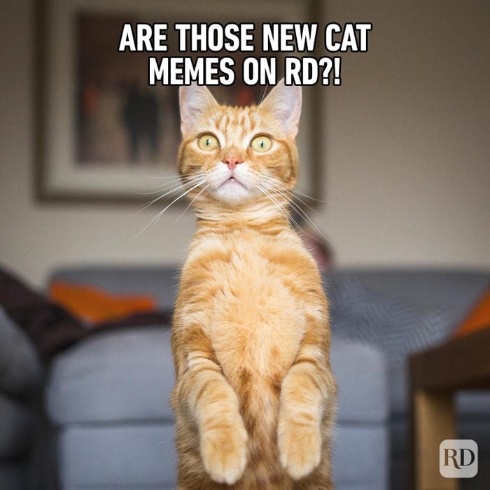 Yes Meme Discover more interesting Ok, Okay, Yeah, Yes memes.   in 2023