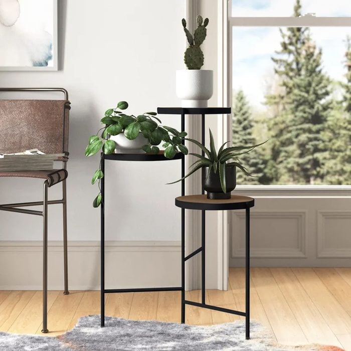 Logan Square Round Multi Tiered Solid Wood Plant Stand Ecomm Wayfair.com