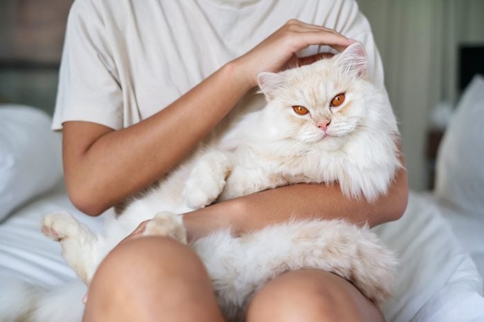 woman holding a Cream Cat