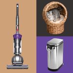 Wayfair Way Day Is Almost Here! Here Are All the Pet Items We Hope Go on Sale