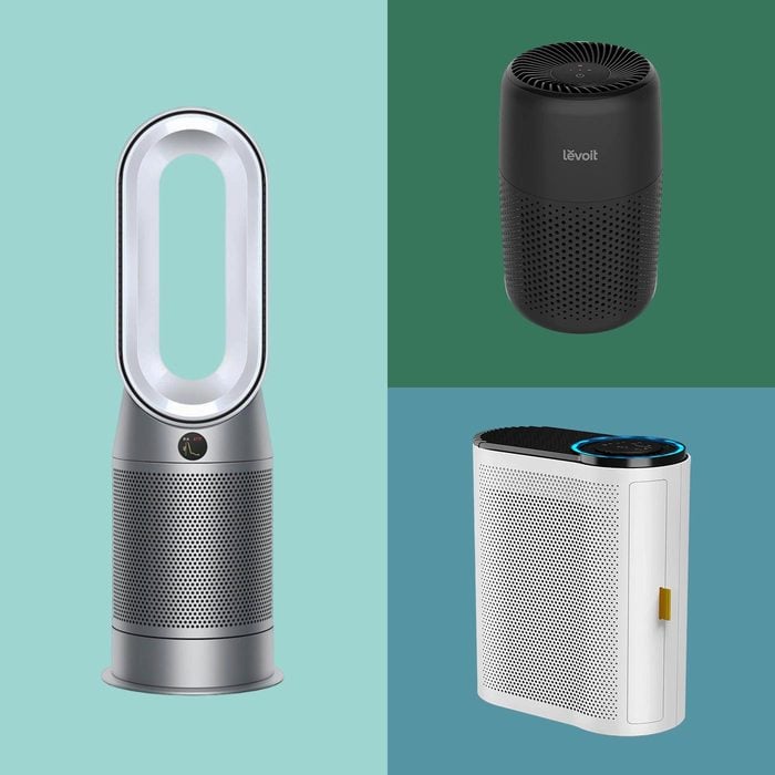The 7 Best Air Purifiers For Pet Households