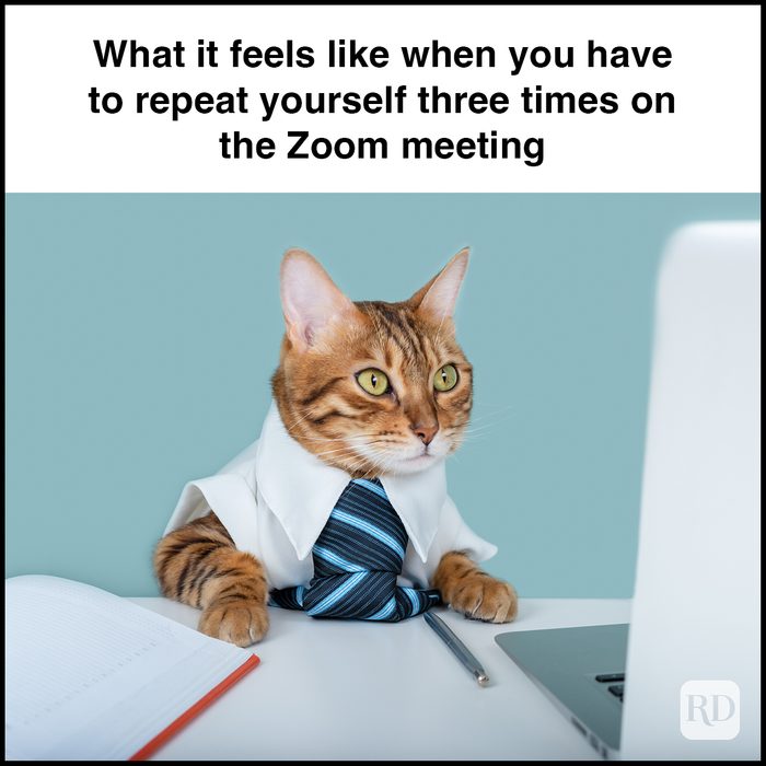 15 What It Feels Like When You Have To Repeatyourself Three Times On The Zoom Meeting Gettyimages 1334070091