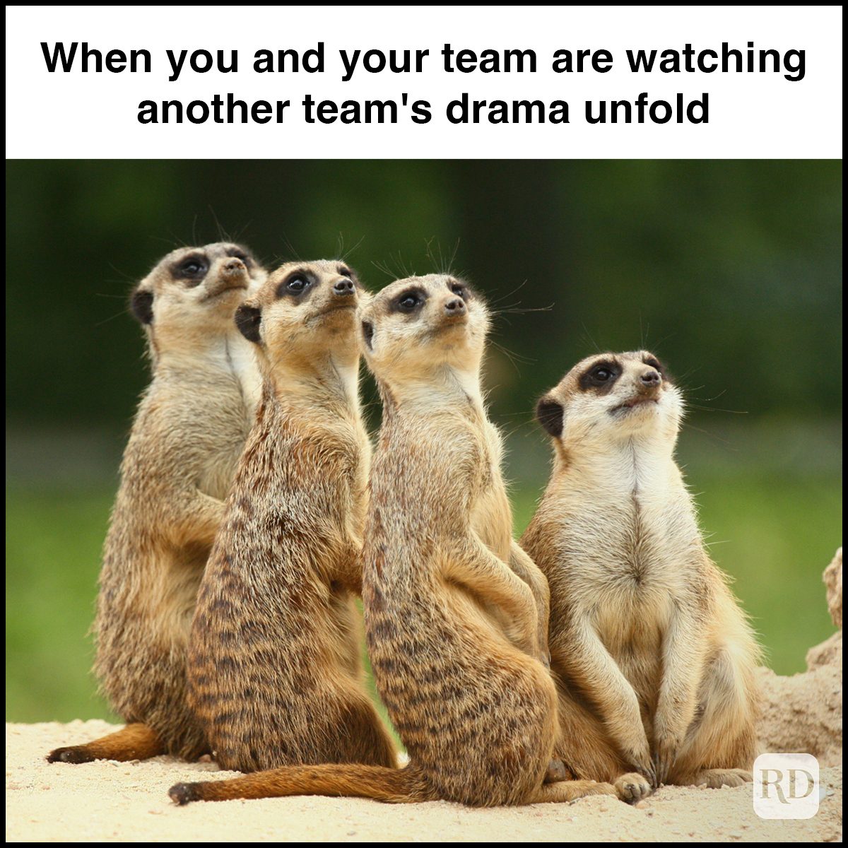 27 When You And Your Team Are Watching Another Team's Drama Unfold Gettyimages 486589958