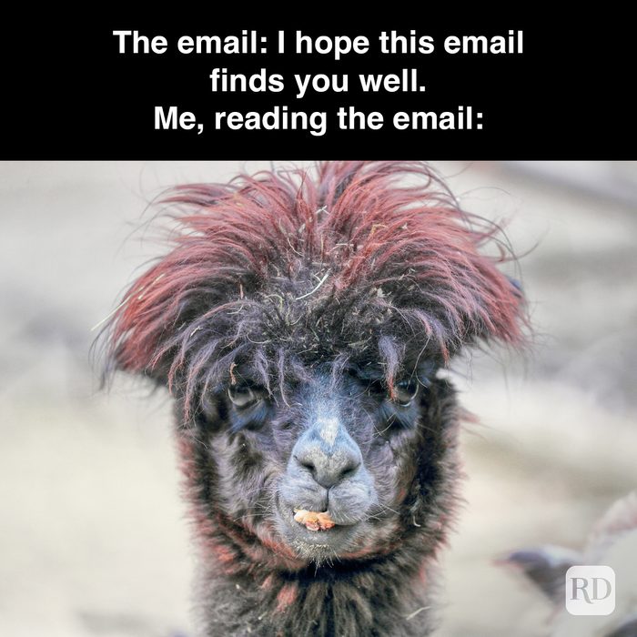 31 The Email I Hope This Email Finds You Well Me Reading The Email Gettyimages 1406589475