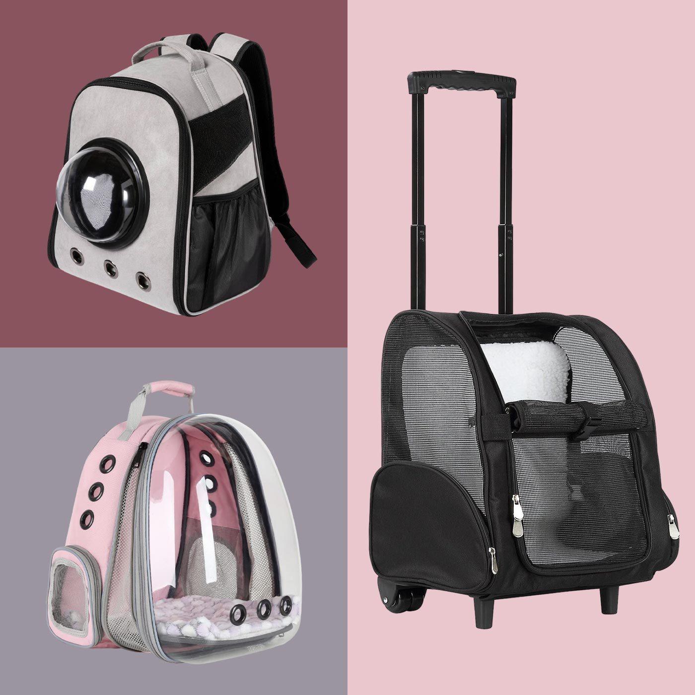 The 10 best cat carriers and cat backpacks of 2024