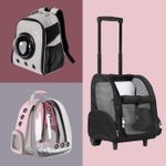 5 Best Cat Carrier Backpacks for Hands-Free Adventuring with Your Feline