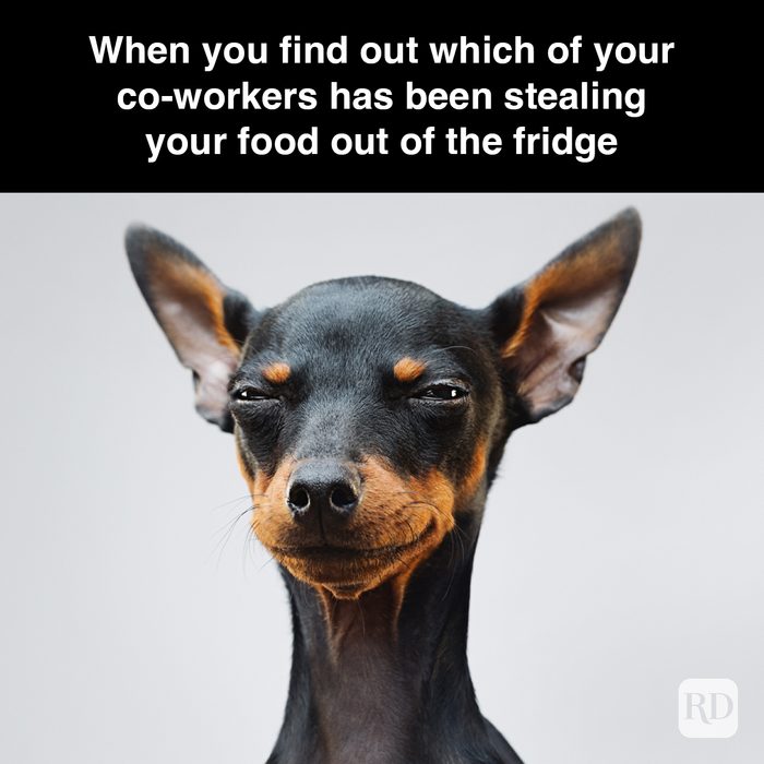 59 When You Find Out Which Of Your Co Workers Has Been Stealing Your Food Out Of The Fridge Gettyimages 675620796