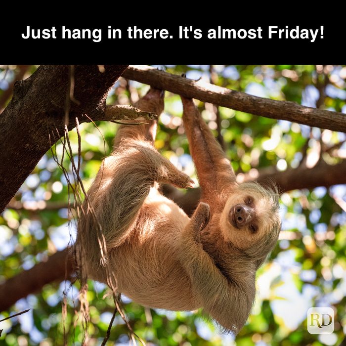 64 Just Hang In There It's Almost Friday Gettyimages 1417397538