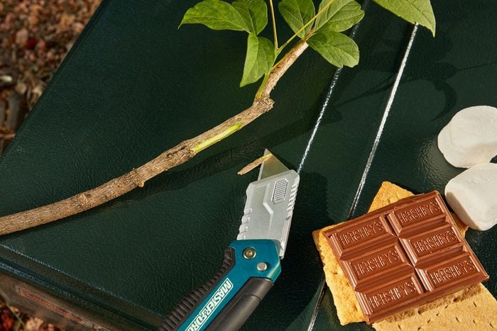 a live branch nicked with a camping knife to reveal the green inside; smores supplies nearby
