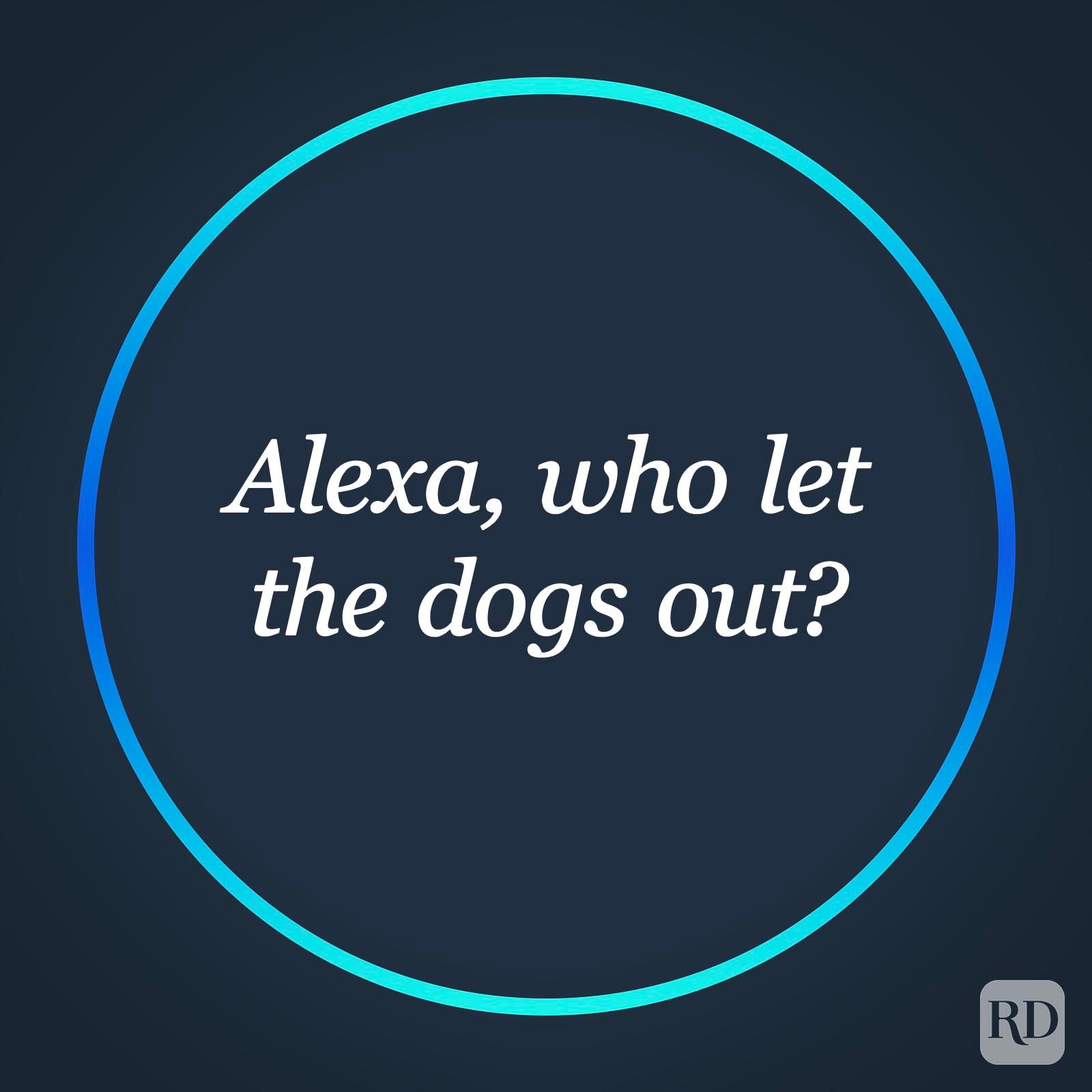 Alexa: Over 497 of the funniest questions to ask Alexa on  Echo, Echo  Dot, and  Tap!