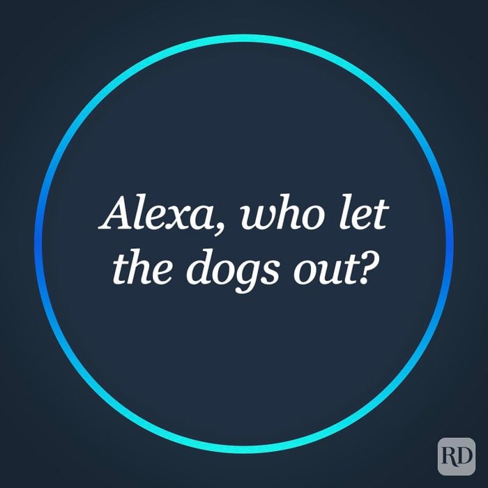 Alexa, who let the dogs out?