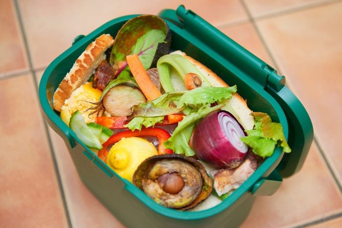 Food Waste Bin or Compost Bin