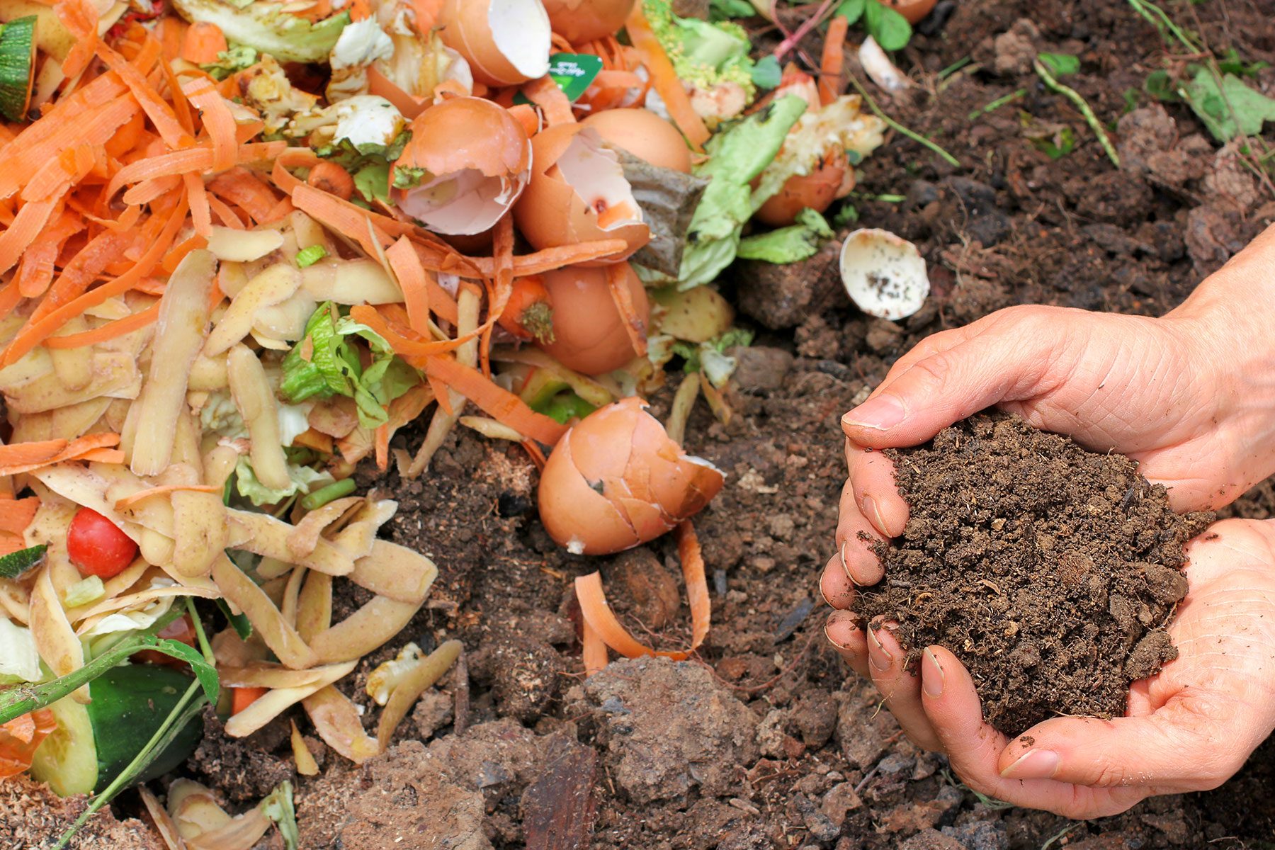 Hands Holding Compost Made with Soil and Food Scrap Waste