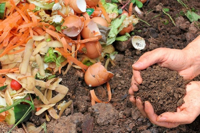 Hands Holding Compost Made with Soil and Food Scrap Waste