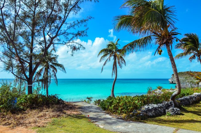 Walking path to a tropical beach on the island Eleuthera on the Bahamas