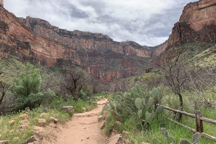 Grand Canyon National Park, Indian Garden, Bright Angel Trail