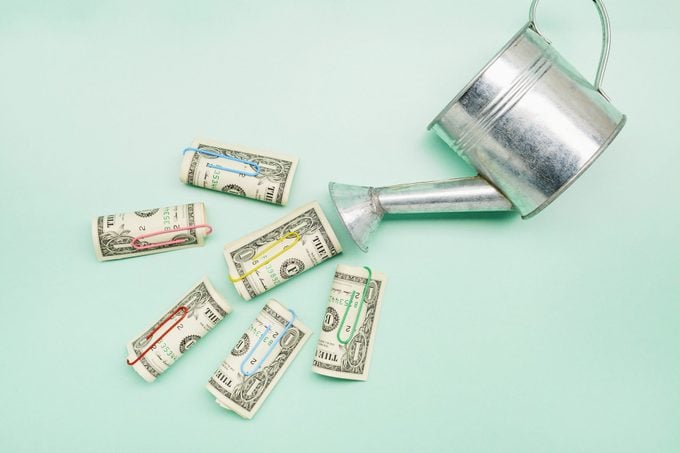 Watering can and rolls of money positioned as if they came our of the watering can on light green background