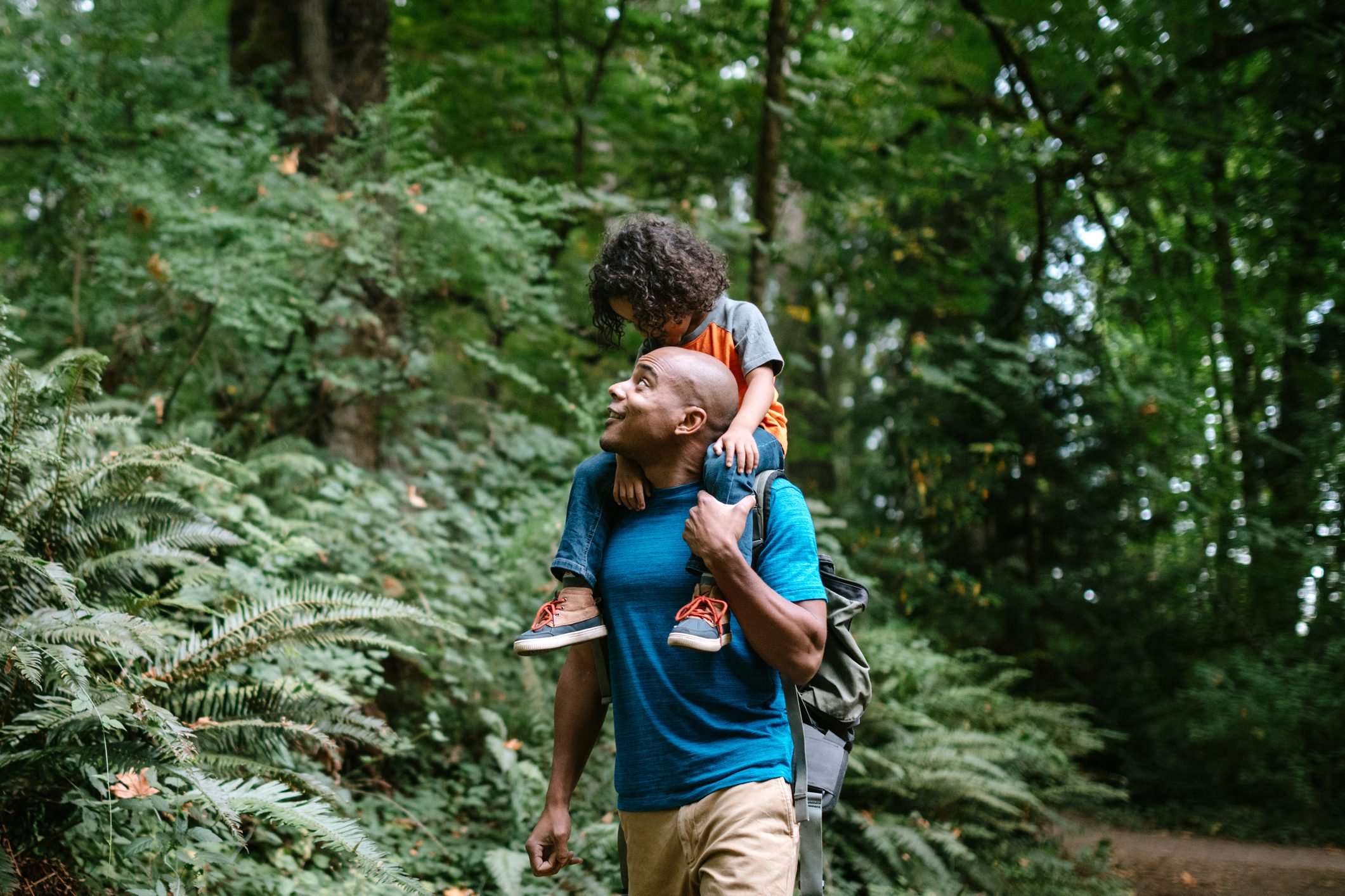 Father Carries Son On Hike Through Forest Trail in Pacific Northwest