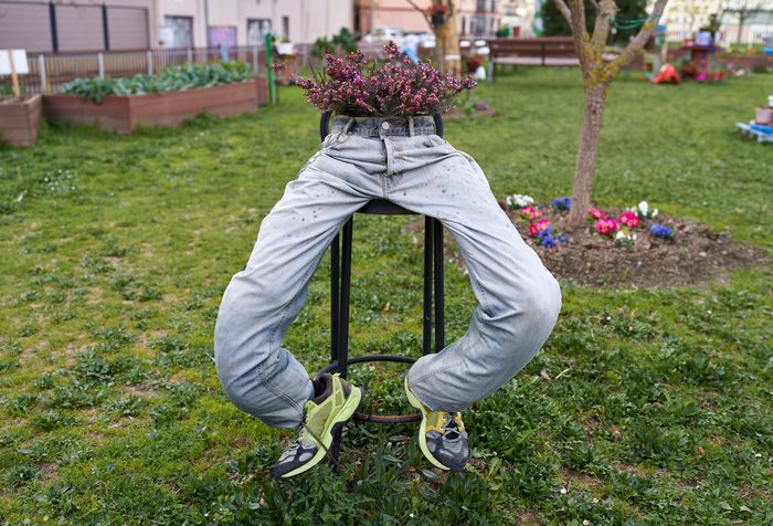 Old jeans pretending to be the legs of a scarecrow sitting on a high chair in the garden, flower pot on top.